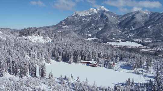 高山小屋，山脉，树木，雪