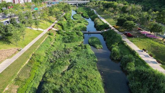 深圳大沙河公园生态长廊视频素材模板下载