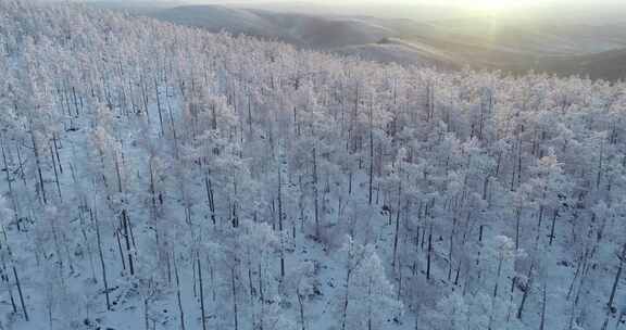 航拍大兴安岭冰雪雾凇、雪凇