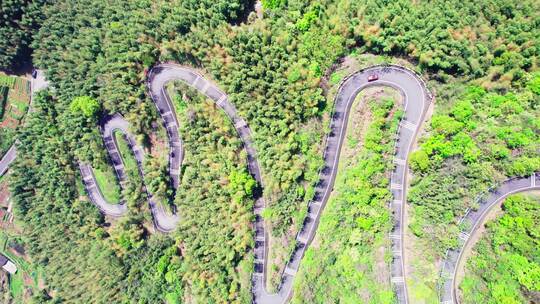 中国萧山寺坞岭乡村竹海中弯曲的盘山公路