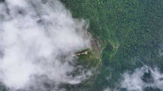 海南乐东县尖峰岭国家森林公园热带雨林