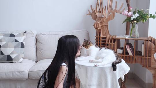 美女和猫居家室内，宠物萌宠逗猫4k视频视频素材模板下载