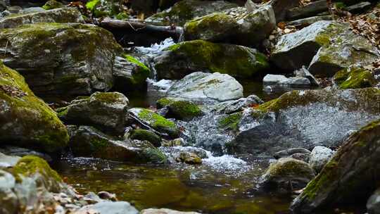 岩石青苔小溪流水