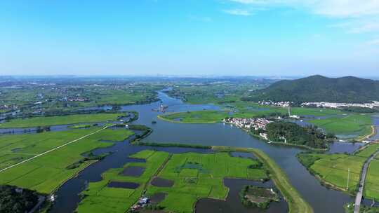 4K航拍智慧农田 水稻种植基地