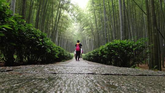 浙江桐庐大奇山