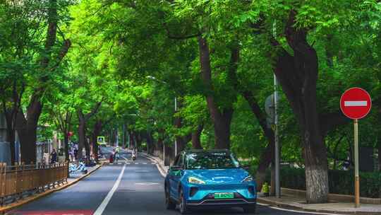 绿树成荫街道汽车行驶