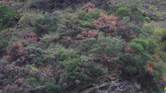 秦岭山水风景 秦岭 秋季 秦岭山脉