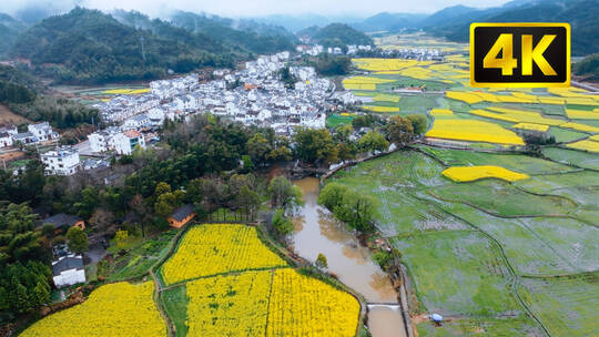 4K婺源严田古村 春雨油菜花航拍内景合集