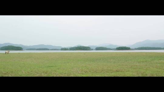 草原湖泊远山骏马