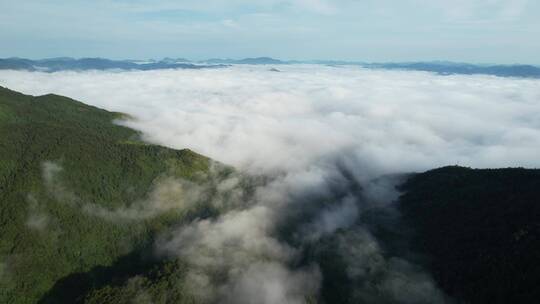 福建宁德周宁县仙风山云海风光航拍