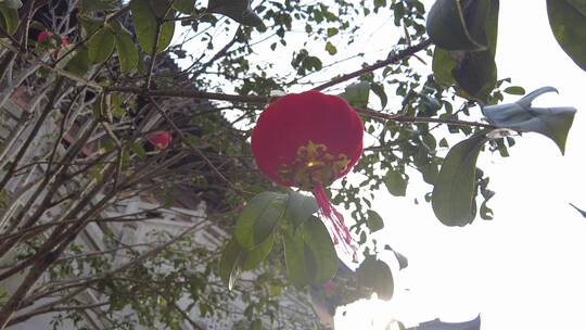 上海长寿禅寺4K实拍原素材