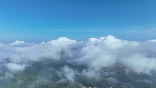 高山云海