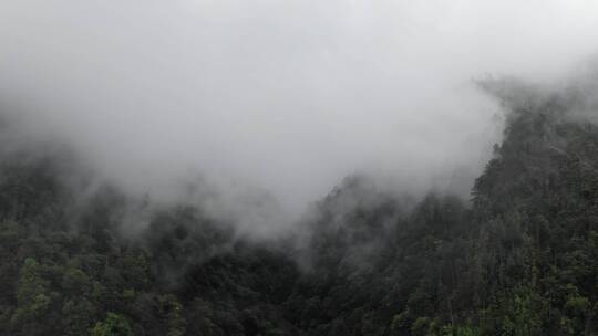 大山里的云雾缭绕视频素材模板下载
