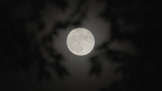 月亮意境 圆月 月光 月色视频素材模板下载