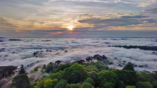 森林阳光云海森林云雾缭绕树林山大自然风景