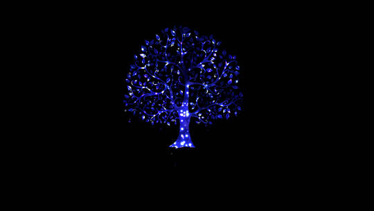 粒子唯美的夜景树视频素材模板下载