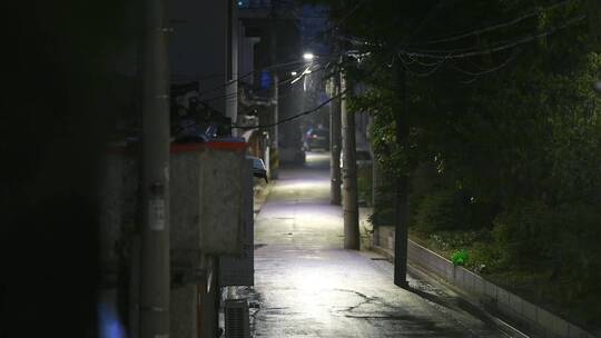 下雨夜晚城市街道店铺小巷植物