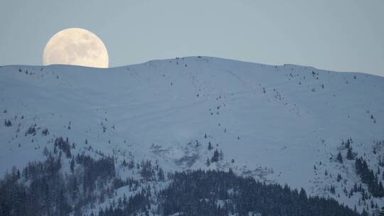 白雪皑皑的山顶上有枯树和满月