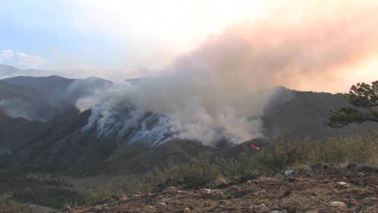 科罗拉多州爆发了山林火灾视频素材模板下载