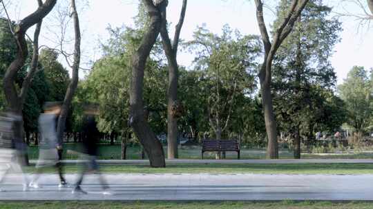 城市森林绿荫步道运动延时实拍4K