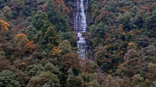 高清实拍眉山洪雅瓦屋山森林瀑布