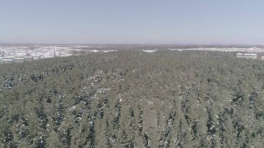 唯美雪景长白山原始森林航拍视频素材模板下载