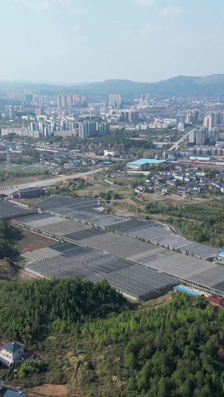 竖版航拍农业大棚种植基地航拍
