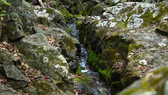 岩石边小溪流水