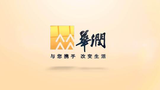 大气简洁明亮高端LOGO演绎