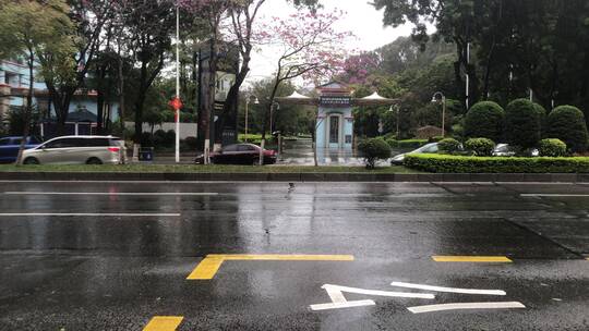 城市街道的雨天