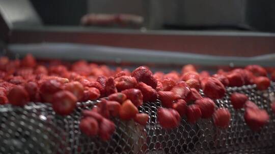 食品加工草莓冻干加工工厂