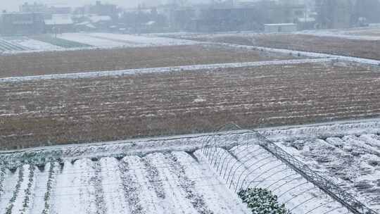 冬天农村下雪冬季鹅毛大雪慢镜头升格