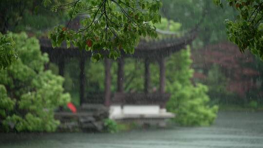 155 杭州 风景 古建筑 下雨天 亭子 树枝