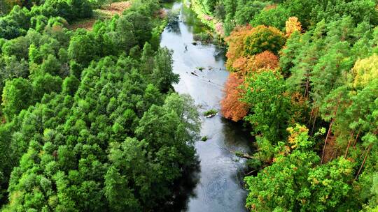 秋天森林中的河流鸟瞰图
