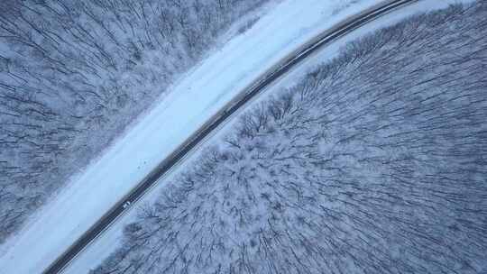 雪天森里公路和前行的汽车