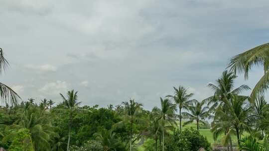 巴厘岛 延时 海岸 海滩 棕榈树 天空