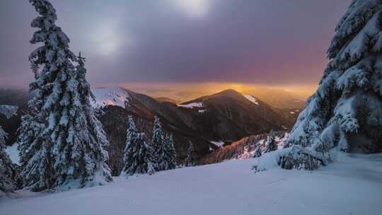 冬天森林山顶日出