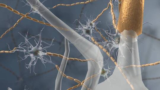 3D微观医学三维神经元细胞神经传导动画