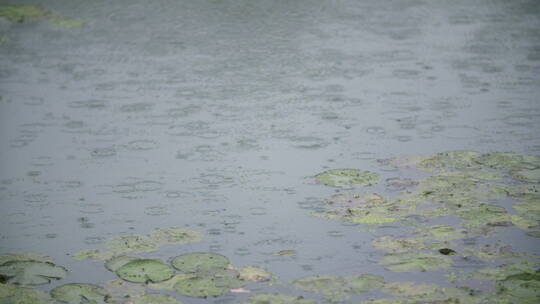 雨滴落在湖面上