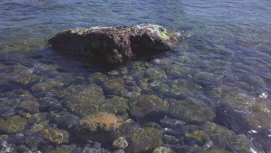 夏日海岸视频素材模板下载