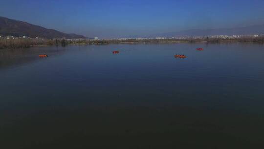 西昌邛海里的游船河海鸥视频素材模板下载