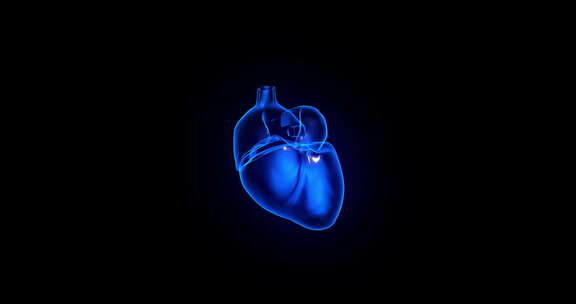 3D全息投影医疗影像跳动的心脏