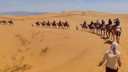 宁夏中卫沙坡头沙漠自然保护区驼队体验