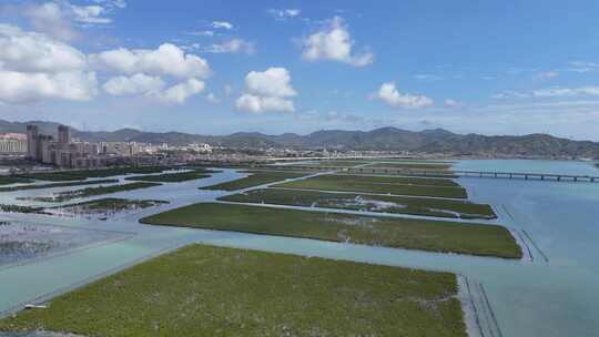 惠州盐洲海洋湿地公园-红树林湿地风光