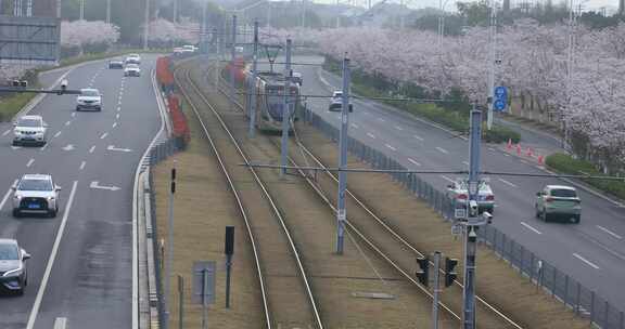 樱花大道樱花绽放唯美网红电车站苏州秀岸站