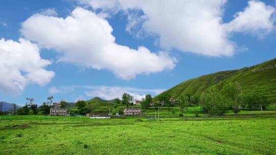 唯美草原蓝天白云风景后期合成背景视频