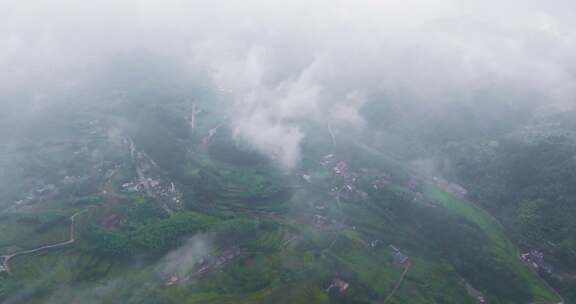 浙江安吉江南竹海高山云海航拍