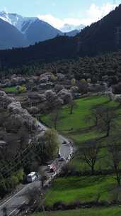 4k航拍滇藏线西藏林芝桃花雪山公路