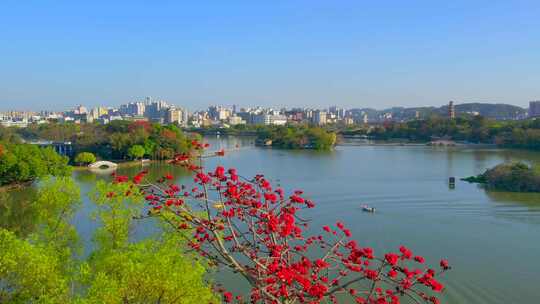 精选春日西湖大景