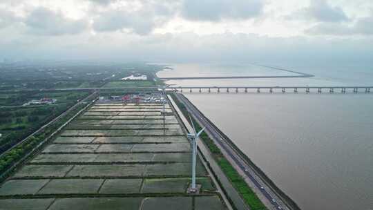 中国上海长兴岛海边稻田风车